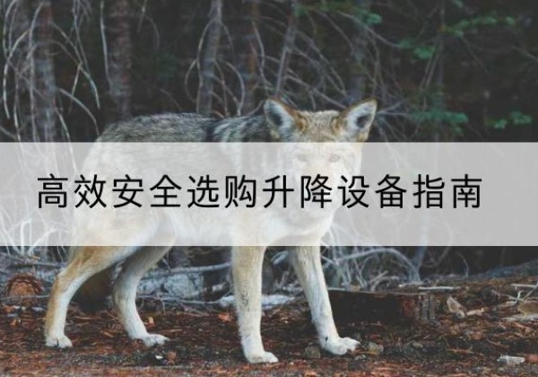 爱辉升降货梯厂家推荐-*安全选购升降设备指南
