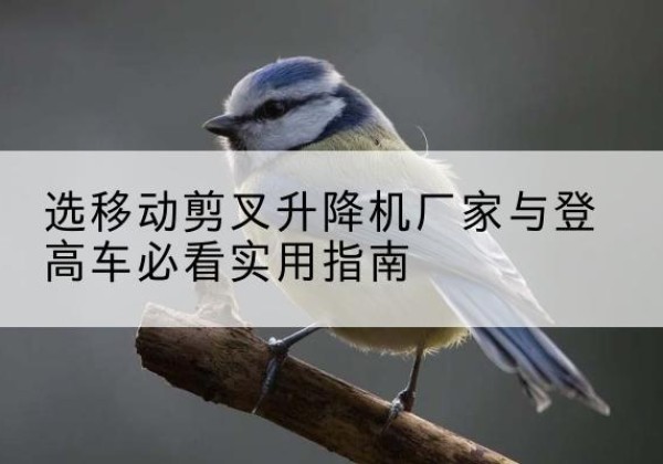 爱辉电动升降机厂家-选移动剪叉升降机厂家与登高车必看实用指南
