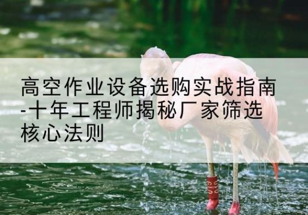 爱辉剪叉式升降机厂家-高空作业设备选购实战指南-十年工程师揭秘厂家筛选核心法则